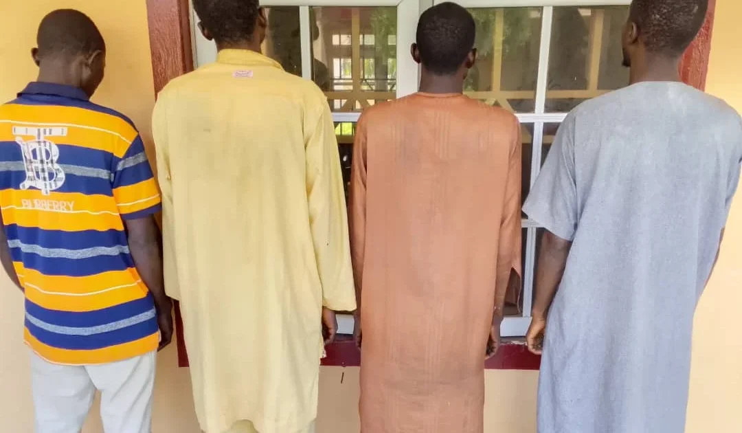NSCDC arrests four drug dealers in Kano
