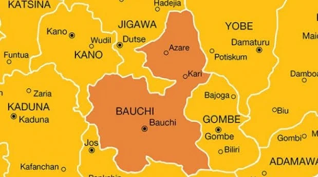 Police foil cattle rustling attempt, recover eight cows in Bauchi